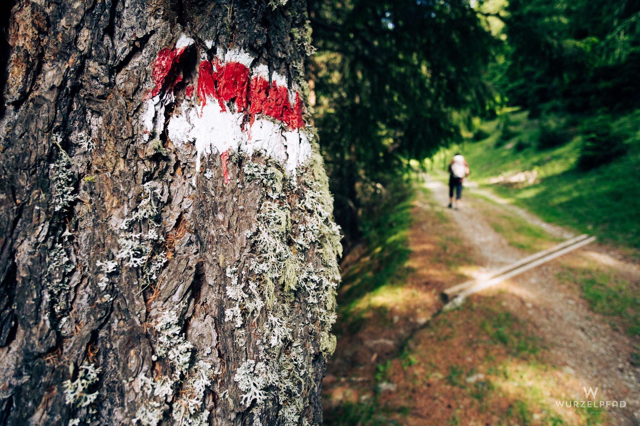 Auf dem Ultner Höhenweg